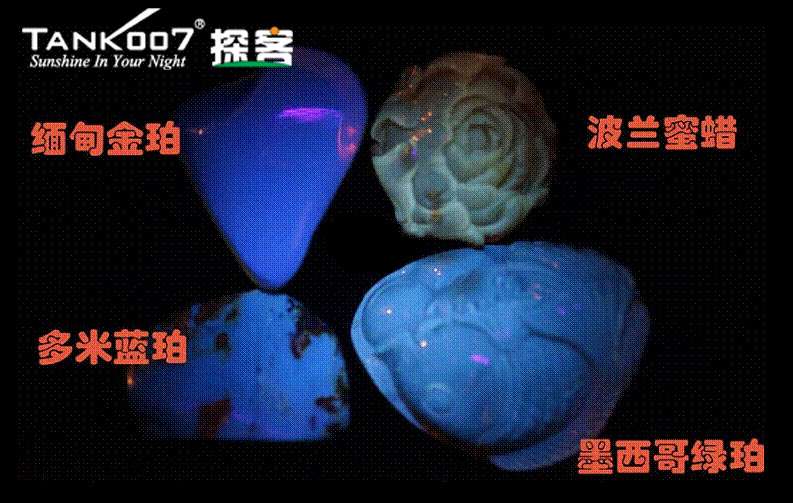 網上用紫光手電鑒定琥珀的帖子這么多，哪個是真假？